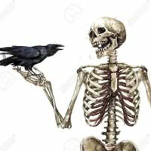 silver_angel415 avatar