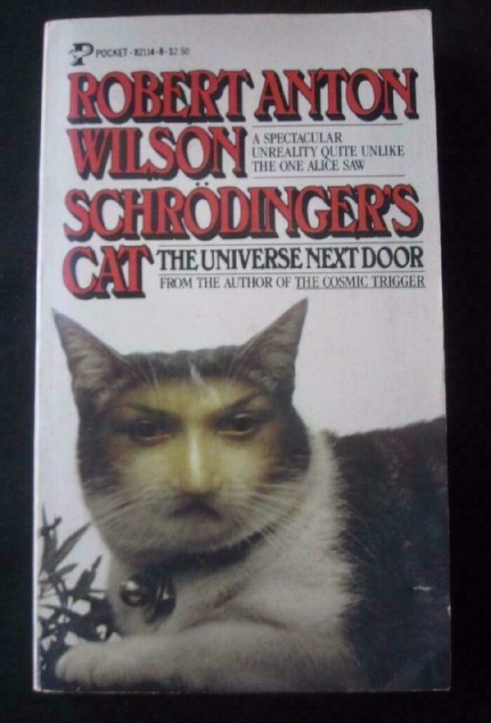 Book cover with a cat featuring a human face, an example of incredibly awful and funny book covers.