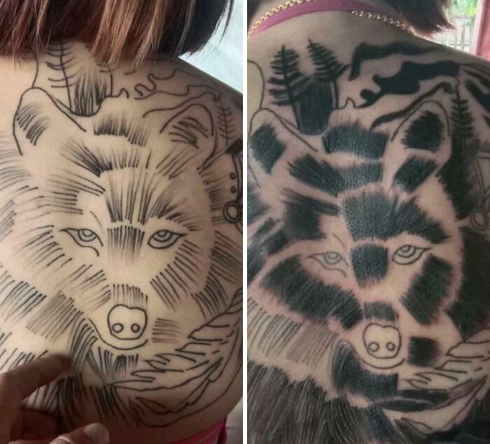 Back tattoos of a wolf design showing poor tattooing skills and bad ink shading, examples of bad tattoos.