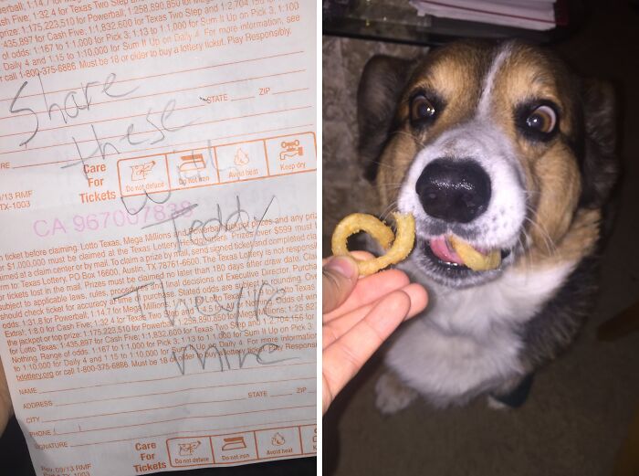 Dog being fed a funny snack, showcasing one of the creative and amusing notes left by parents.