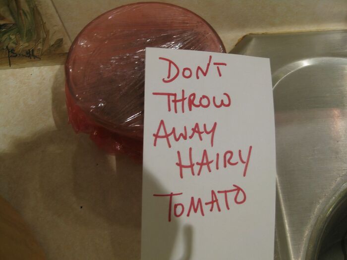 Note left by parent warning not to throw away a hairy tomato on a kitchen counter near a sink.