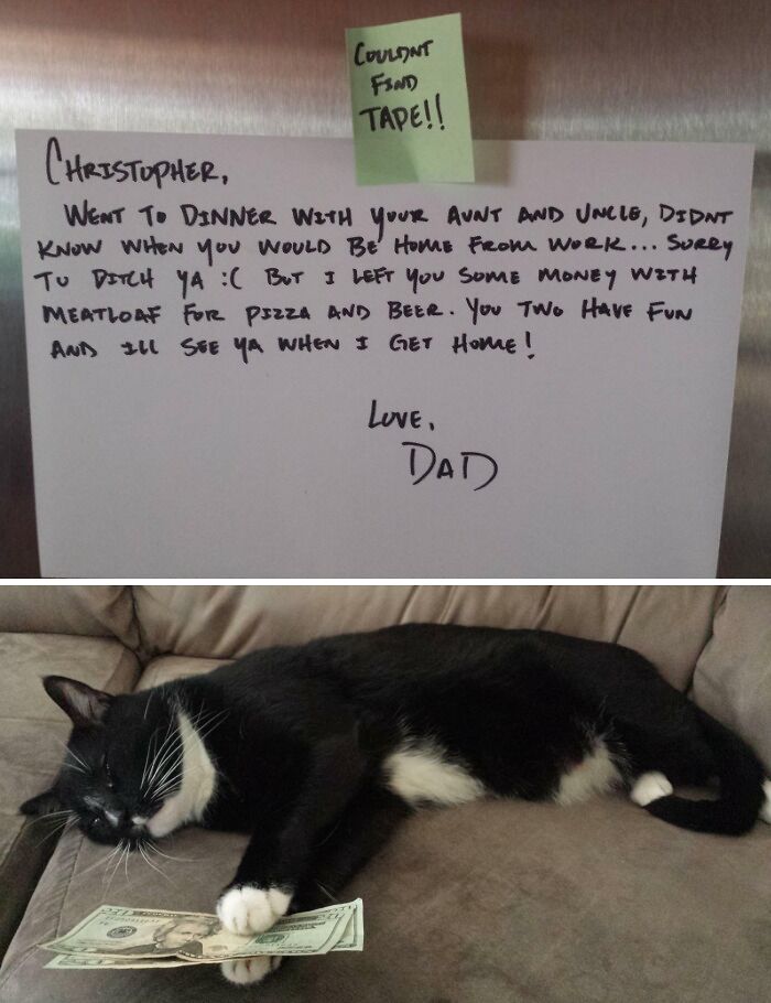 Handwritten creative and amusing notes left by parents on fridge with a cat holding money on a couch nearby.