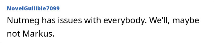 Text post from user NovelGullible7099 reading Nutmeg has issues with everybody. We&rsquo;ll, maybe not Markus, referencing Meghan Markle&rsquo;s alleged rift with mom Doria.