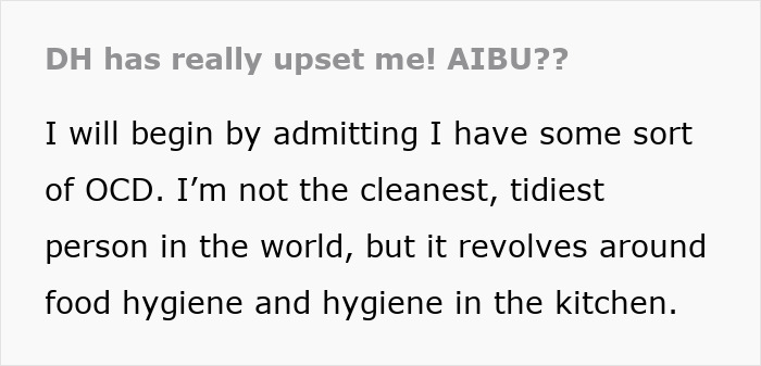 Text excerpt about a mom with OCD-like hygiene anxiety discussing food and kitchen cleanliness causing family conflict.