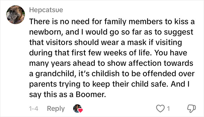 Comment on woman&rsquo;s gentle reminder for grandma to not kiss her baby, emphasizing newborn safety and family boundaries.