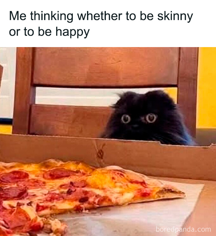 Black fluffy cat staring at pizza with caption about choosing to be happy or skinny in cute animal memes.