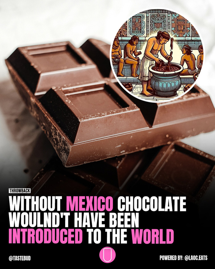 Chocolate bars with inset Aztec cacao illustration, depicting fun facts about Mexico and its chocolate origins