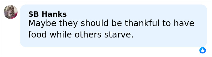 Comment from SB Hanks discussing Critics Choice Awards disappointing food, emphasizing gratitude for having food.