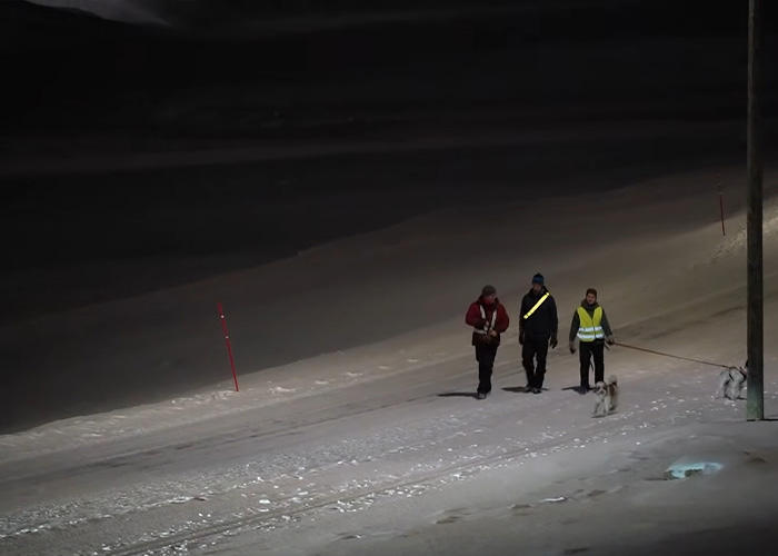 Three people with reflective gear walk dogs on a snow-covered road at night on the world&rsquo;s darkest island.