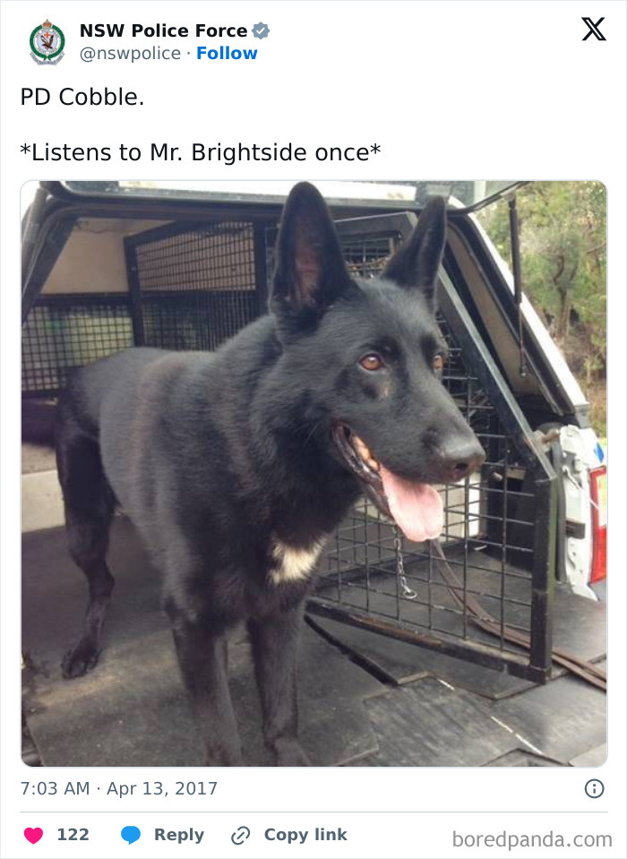 Police social media post shows a happy black police dog in vehicle, highlighting humorous and unserious police social media accounts.