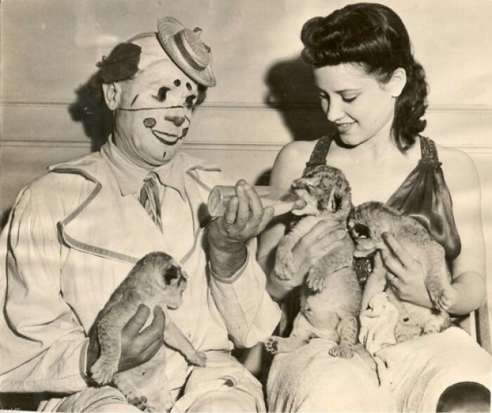 Old black and white creepy photo of a clown bottle feeding lion cubs while a woman holds them and smiles.