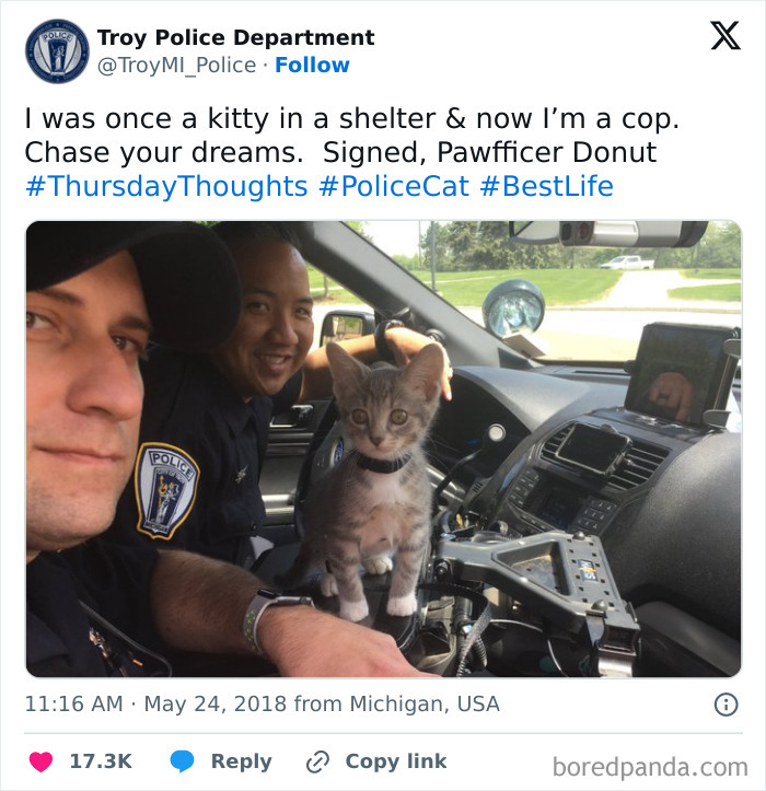 Police social media post featuring officers and a kitten inside a police car, highlighting humorous police social media accounts.