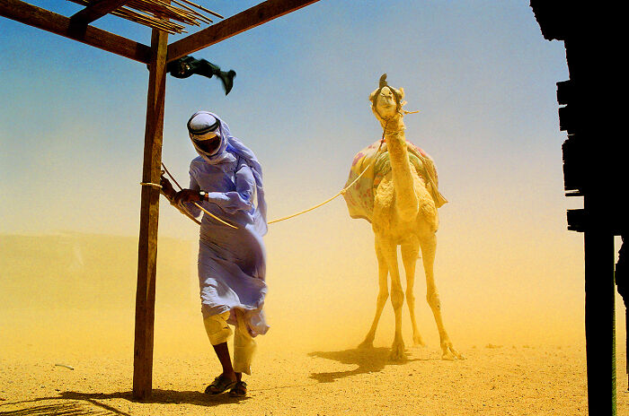 Give Me Shelter From The Series 'Going Bedouin' By Laura Jean Zito