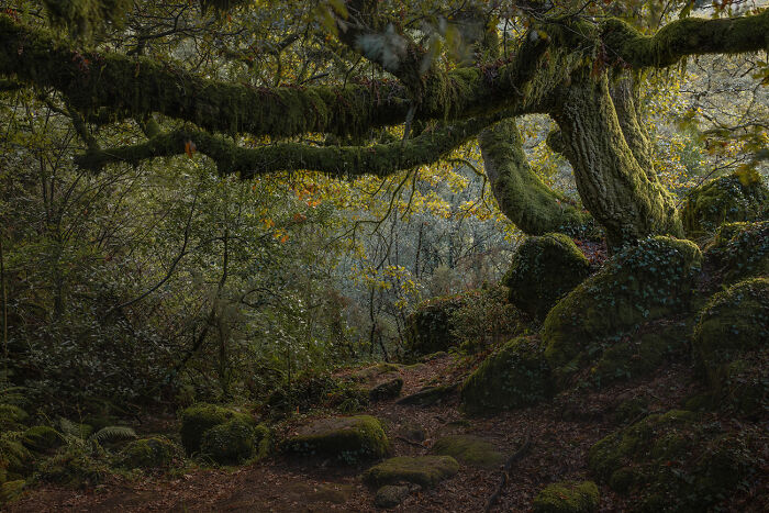 Last Stretch From The Series Intimate Landscape By Abilio Magalhães