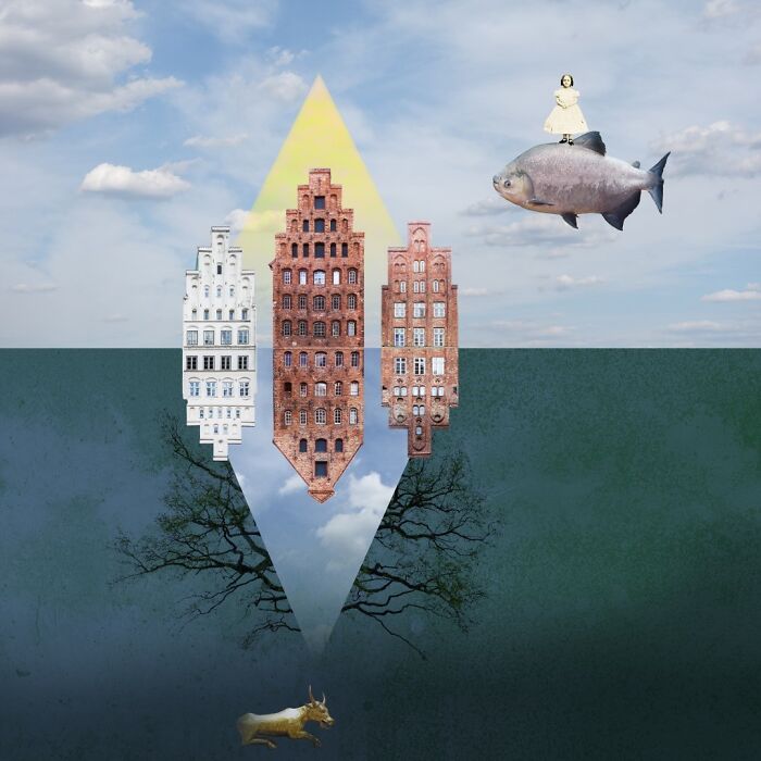 The Windows Of My Friendship, 2020