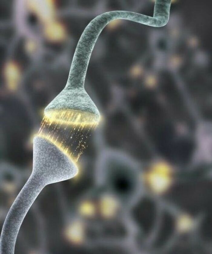 Conexión sináptica neuronal, imagen médica que resulta extrañamente hipnotizante y ligeramente inquietante.