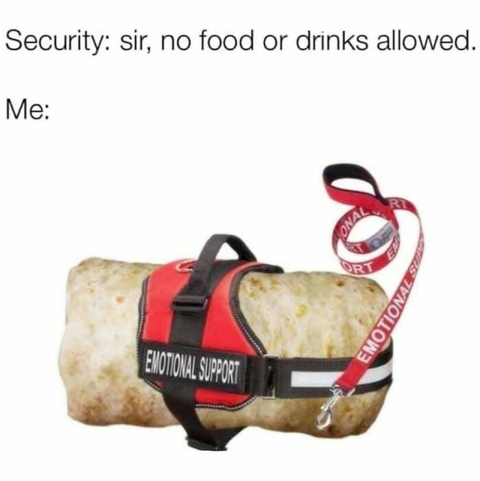 Travel meme showing a burrito with an emotional support harness, humorously addressing travel security rules.