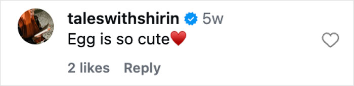 Instagram comment saying Egg is so cute with a heart emoji, related to A Knight Of The Seven Kingdoms plot and characters discussion.