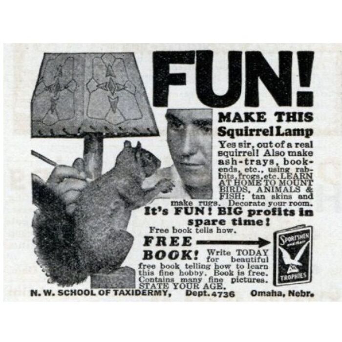 Even The Squirrel Thinks Its Fun! But This Guy's Wife Immediately Threw It In The Trash