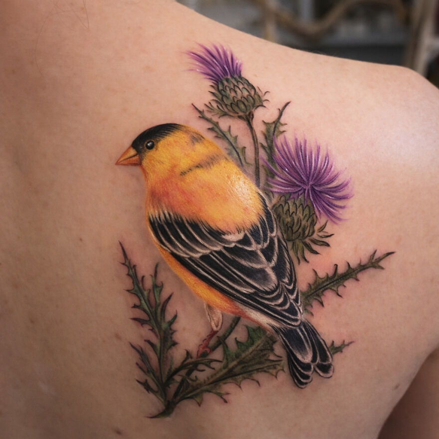 The Timeless Bird Tattoos Of Tara Morgan