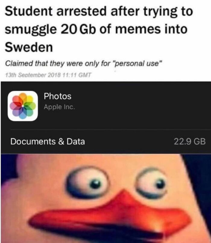Screenshot of a news headline about a student smuggling memes and a shocked cartoon duck, reflecting dark humor memes.