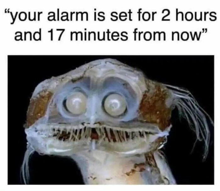 Scared wide-eyed creature meme representing introvert anxiety about alarm set for two hours and seventeen minutes.