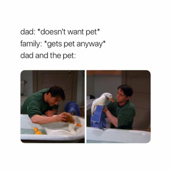 Scene from Friends showing a dad bonding with a pet duck, illustrating timeless classic moments from the show.