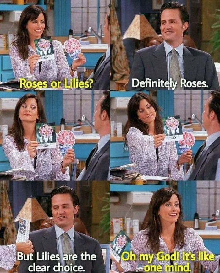 Friends TV show meme with characters debating roses versus lilies, showcasing timeless humor from the classic sitcom.