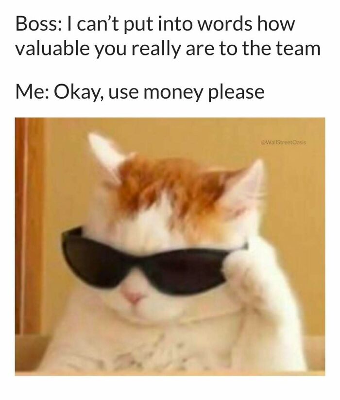 Cat meme featuring a cat wearing sunglasses with funny text about being valuable to the team and asking for money.