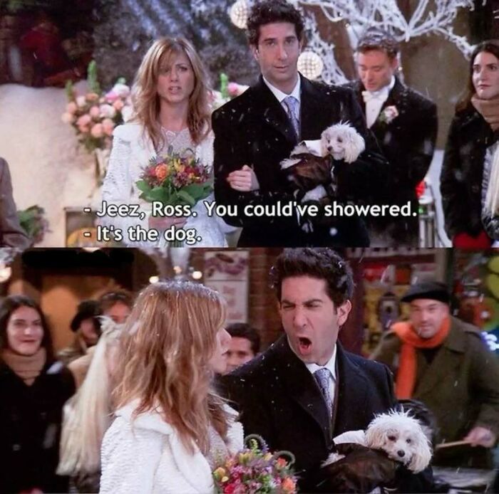 Scene from Friends with Ross holding a small dog and Rachel in a white coat during a wedding in winter with snow falling.