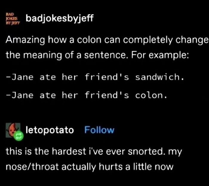 Funny and relatable therapy meme showing a bad joke about a colon changing sentence meaning and a humorous reaction.