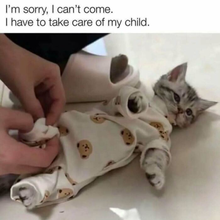 A kitten dressed in a onesie with teddy bear prints, captioned as a humorous cat meme about taking care of a child.