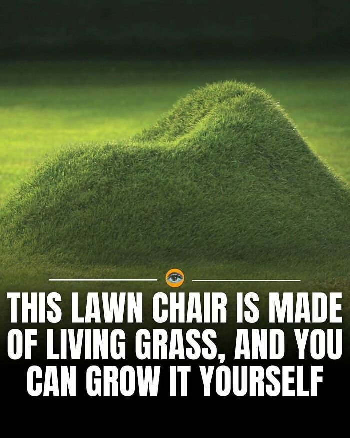 Lawn chair made of living grass shaped on a field, showcasing lighthearted facts and pics to enjoy.