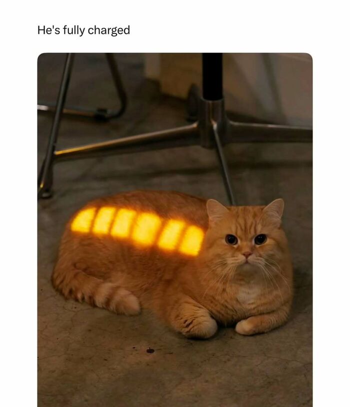 Orange cat lying on the floor with glowing light stripes, a funny image for fans of cat memes and humor posts.