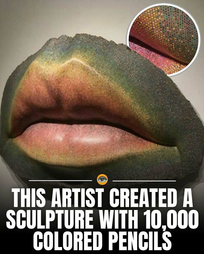 Sculpture made from 10,000 colored pencils, showcasing a creative lighthearted fact and artistic achievement.
