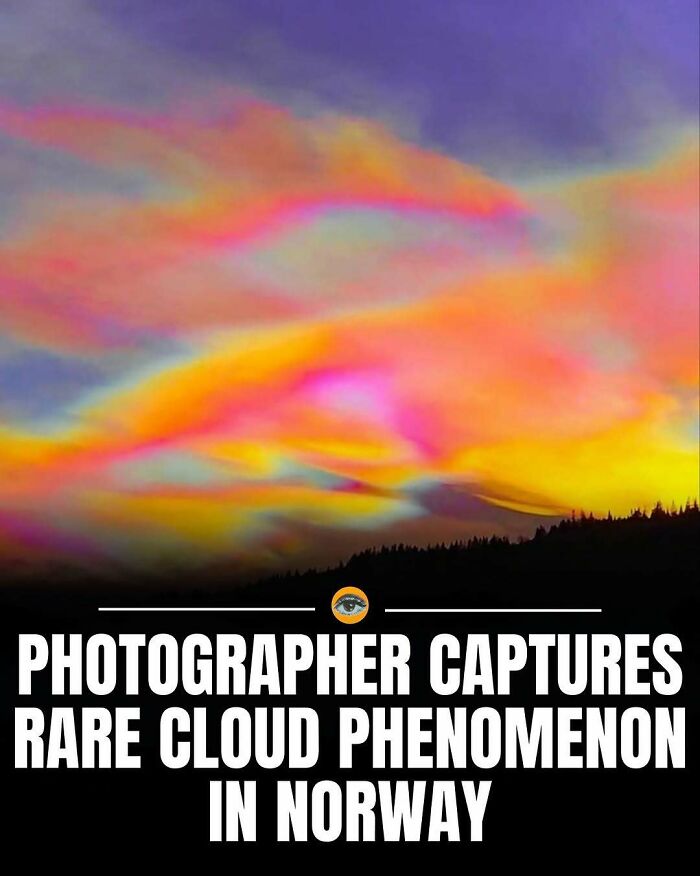 Colorful rare cloud phenomenon over dark forest in Norway captured by photographer for lighthearted facts and pics.