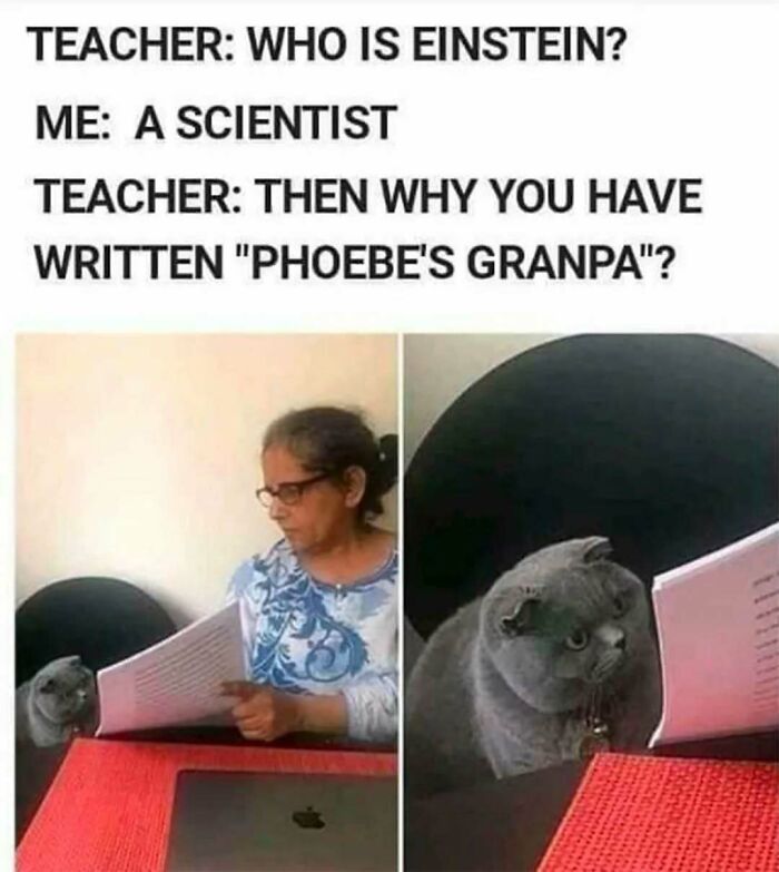 Teacher questioning student with a cat in glasses reading paper, funny meme from Friends timeless classic collection.