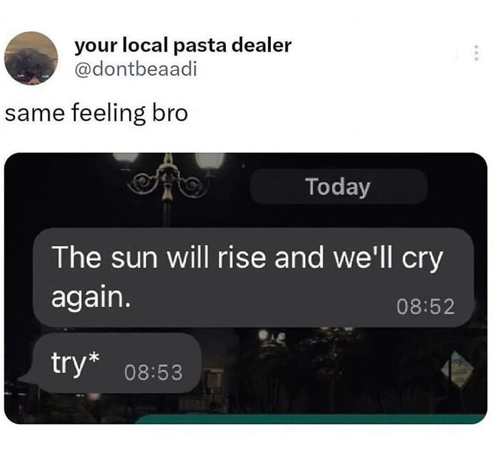 Text message conversation showing a relatable therapy meme about struggling to try and emotional feelings.