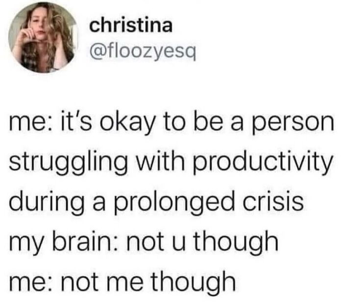 Funny and relatable therapy meme showing inner conflict about productivity during a prolonged crisis with a humorous twist.