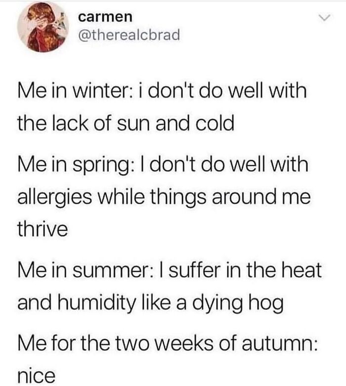 Funny and relatable therapy meme describing seasonal struggles from winter to autumn with humor about allergies and heat discomfort.