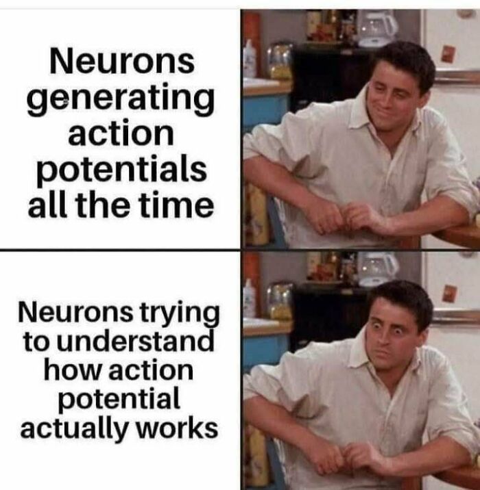Humor meme showing neurons generating action potentials versus trying to understand how action potential works.