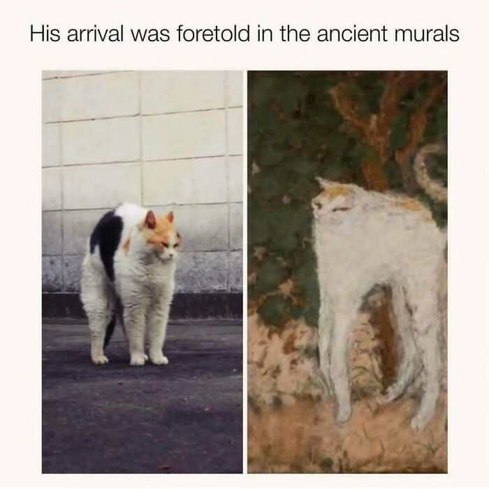 Cat meme showing a real cat next to an ancient mural painting resembling the cat, perfect for cat meme lovers.