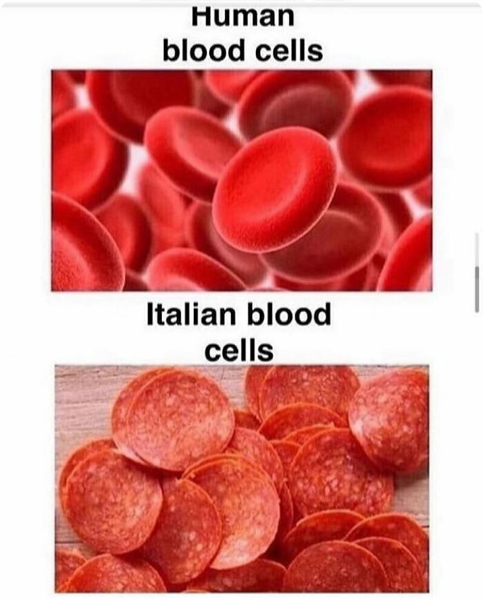 Comparison of human blood cells and pepperoni slices representing Italian blood cells in funny random memes.