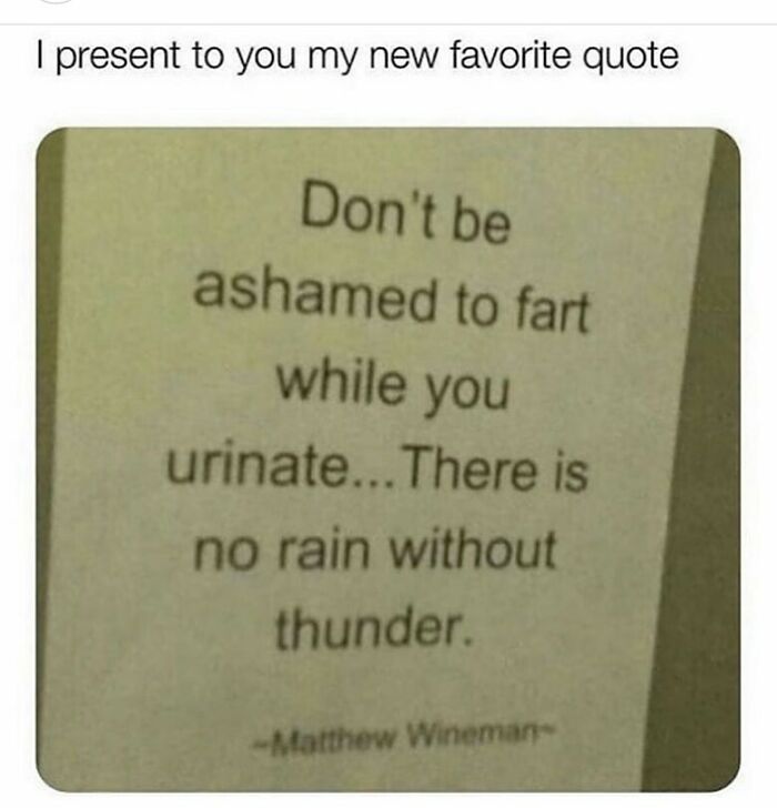 Meme featuring a humorous quote about farting while urinating, highlighting random memes that are unexpectedly funny.