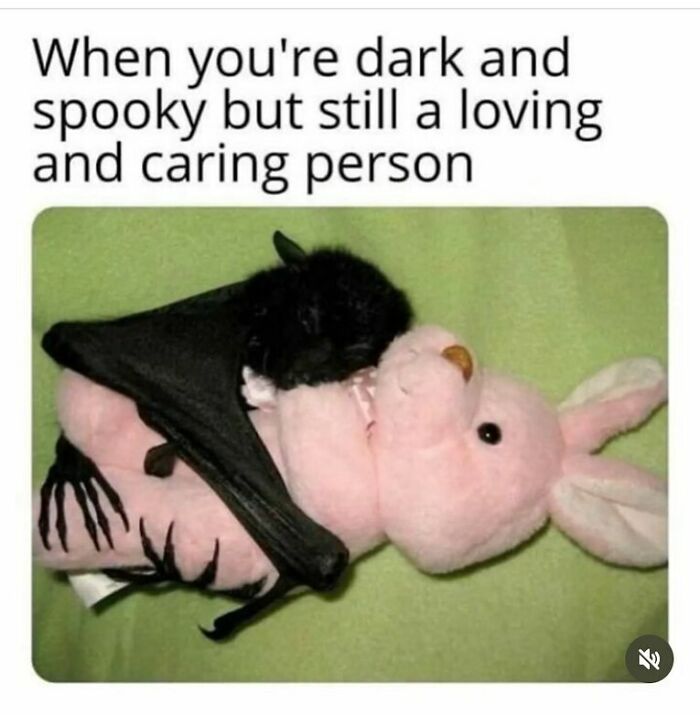 A dark spooky bat hugging a pink plush bunny, showing a contrast of dark and caring in a funny meme.