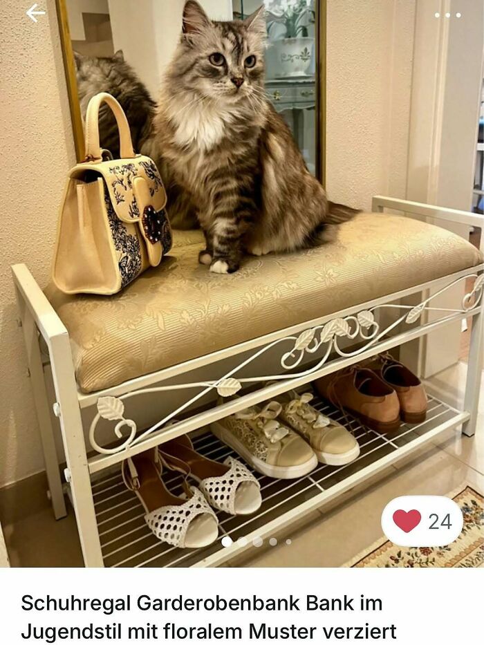 Fluffy cat sitting on a vintage floral-patterned bench, stealing the spotlight in a stylish Vinted ad setting.