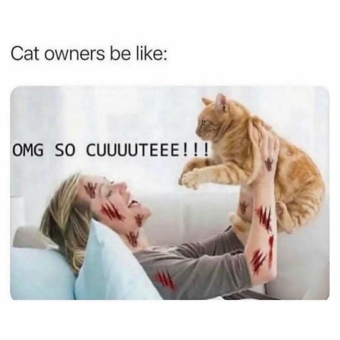 Person smiling while holding a cat covered in scratches, illustrating funny random meme about cat owners and pets.