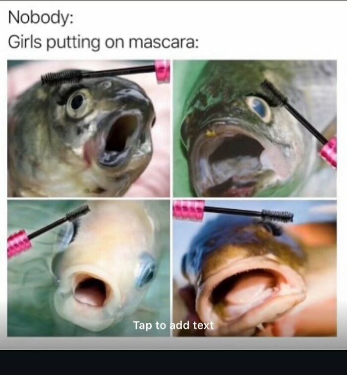 Humorous random meme of fish with open mouths pretending to apply mascara, illustrating funny relatable moments.