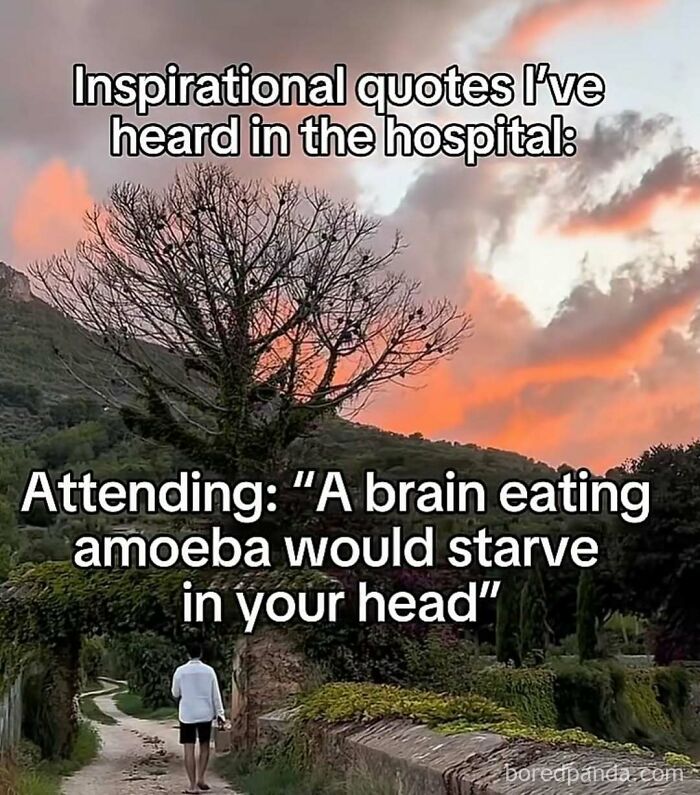Humorous hospital meme with a sunset background featuring a funny quote about a brain eating amoeba.