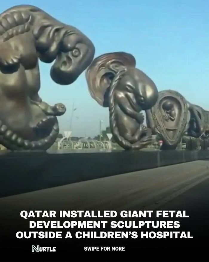 Giant fetal development sculptures installed outside a children’s hospital in Qatar, showcasing unique random facts art.